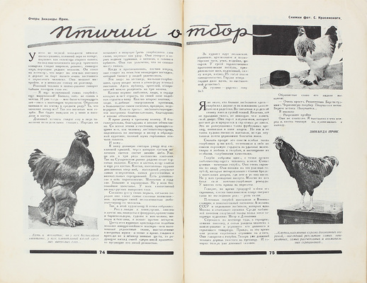 Подборка из трех номеров журнала «30 дней»: